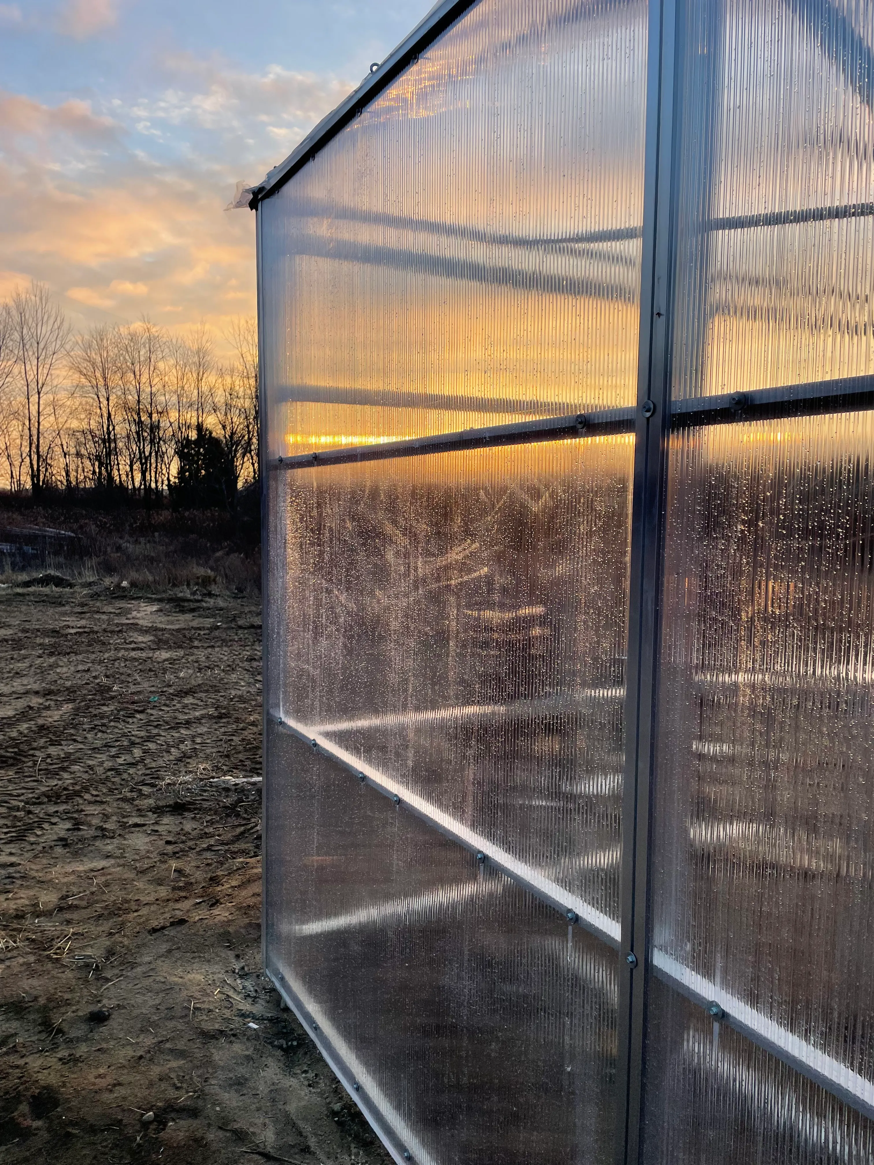 Finished greenhouse interior
