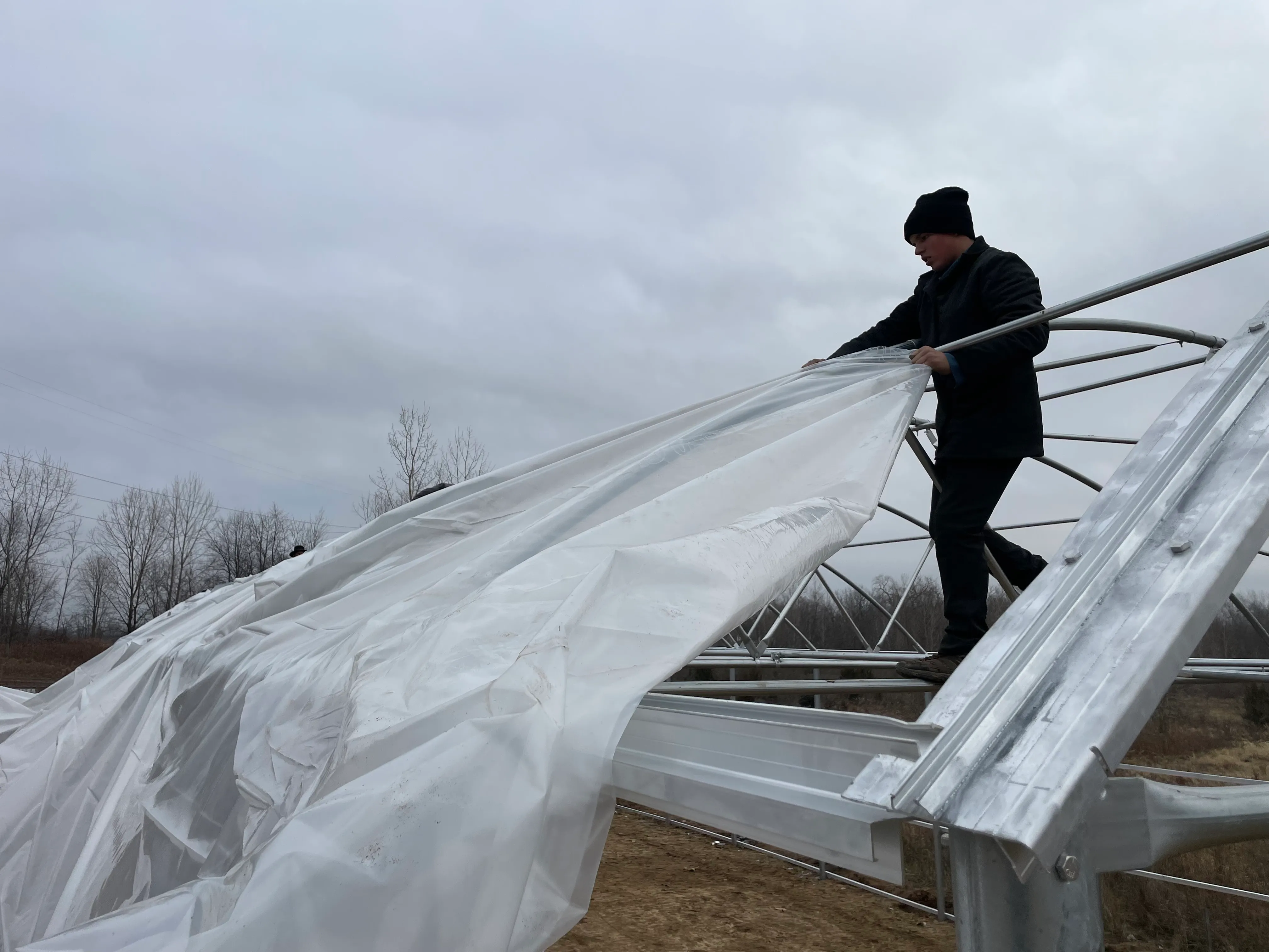 Greenhouse poly install